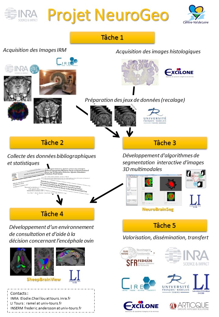 neurogeo workflow