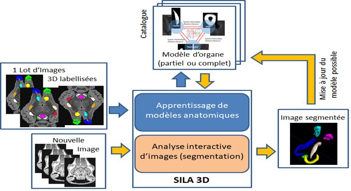 sila3D