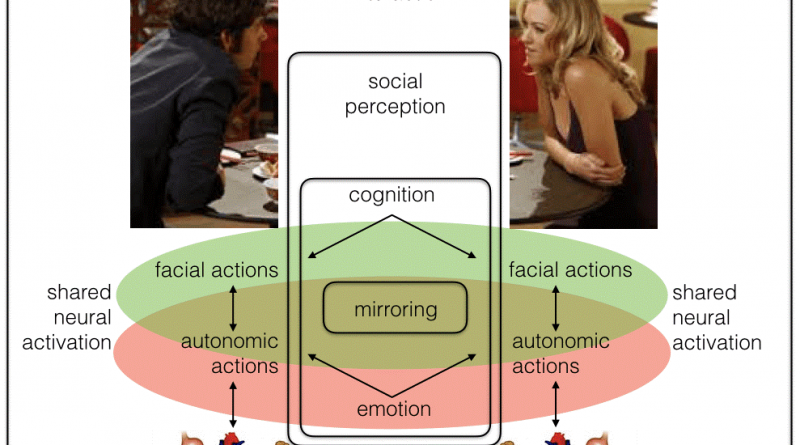 pattern recognition and image analysis,lifat,rfai laboratory,activities rfai team,research work,university tours,polytech,formes,algorithms,graph,segmentation,image processing,artificial intelligence,machine learning,facial expression,recognition